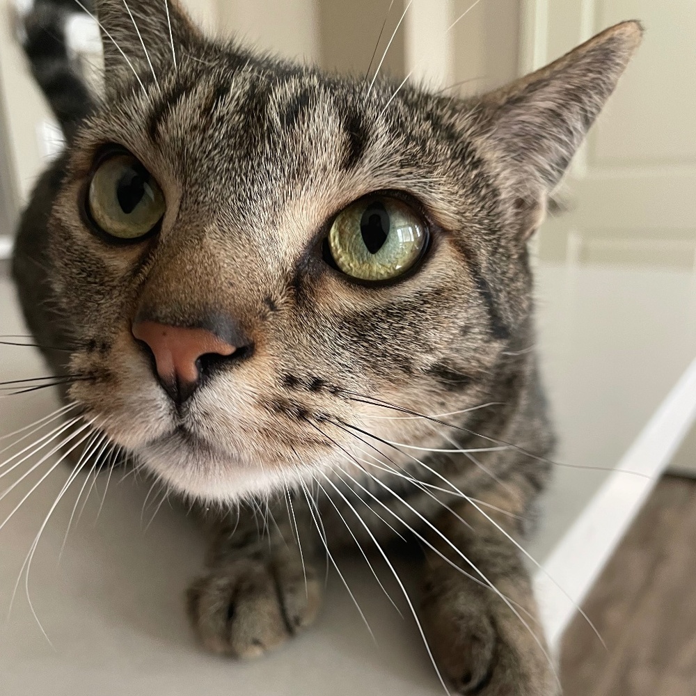 Meet your Posher, Kaitlyn